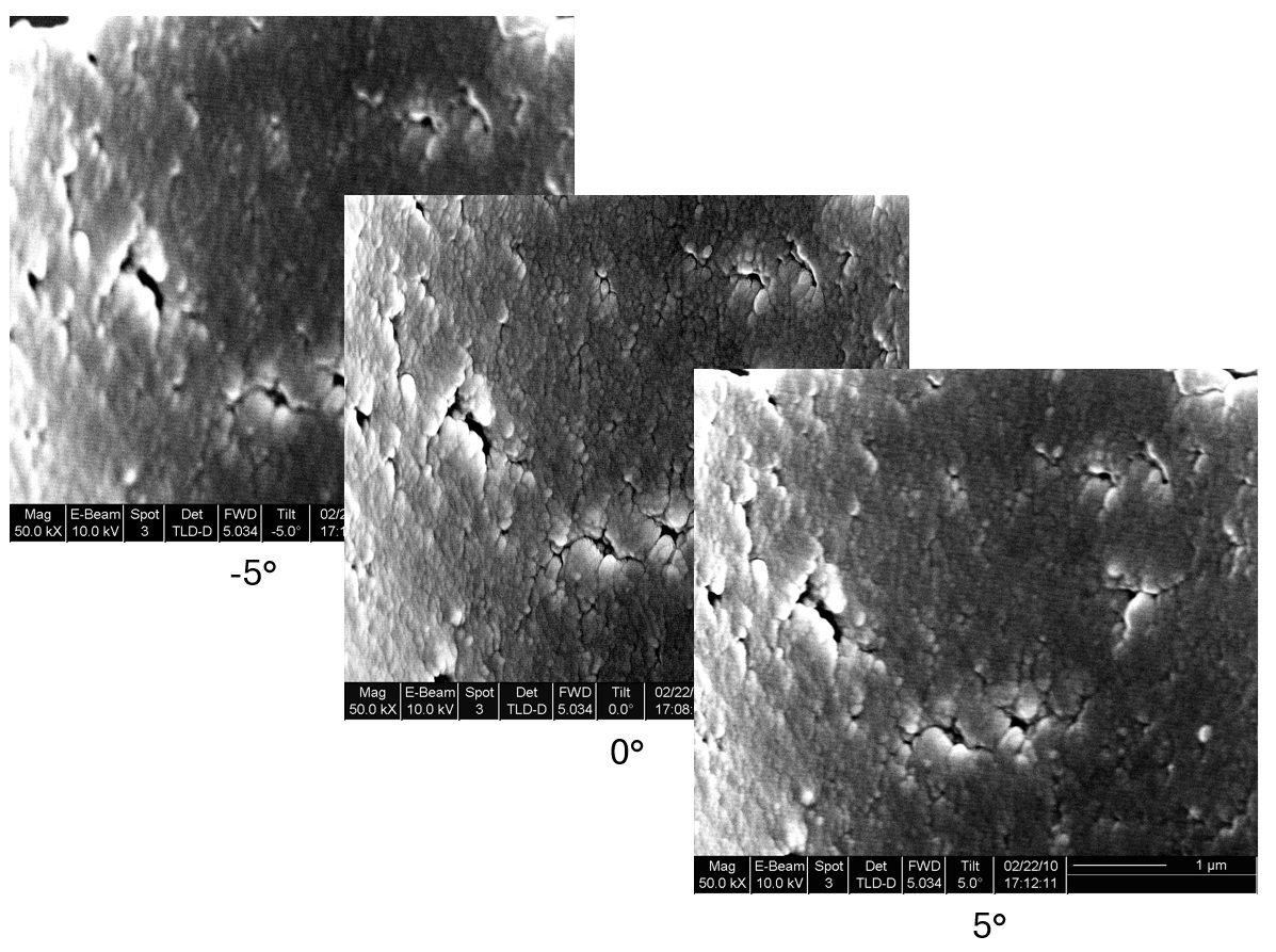 High-magnification SEM images of the surface texture captured at -5, 0 and 5 degree tilt for stereoscopic reconstruction