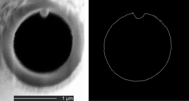 FIB-SEM cross-section image of a micropipette tip aperture with corresponding edge-traced outline