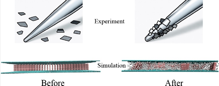 Comparison of micropipette experiment and molecular dynamics simulation showing square nanoflakes before and after confinement between two rigid planes